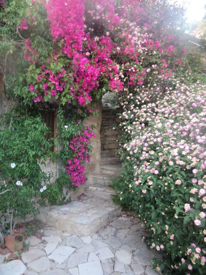 Oleander Stone House Villa Lemona Buitenkant foto
