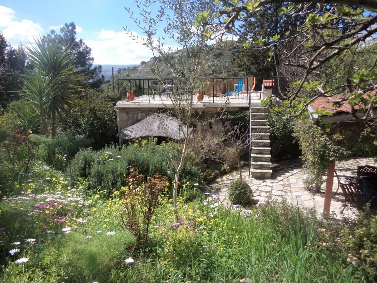 Oleander Stone House Villa Lemona Buitenkant foto